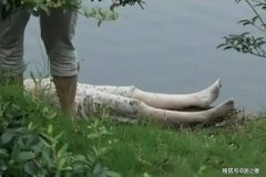 <b>然后自己也跳下河去</b>